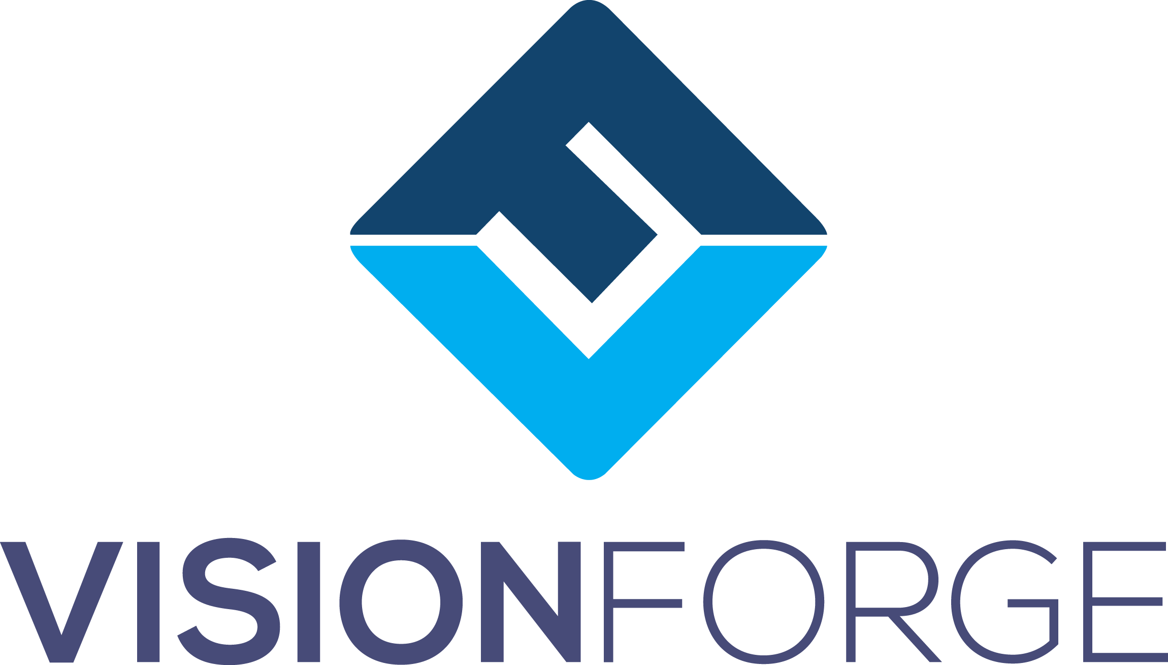 Vision Forge Inc.